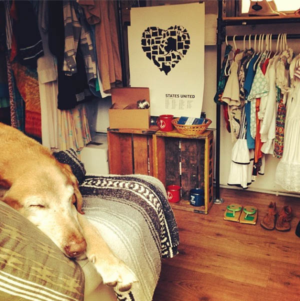 George the dog inside Small Room Collective mobile shop